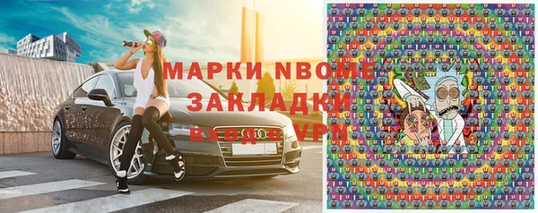 хмурый Алексин