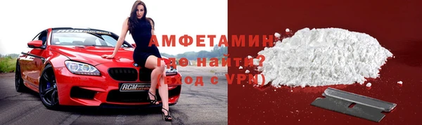 хмурый Алексин