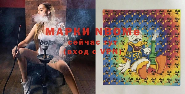 хмурый Алзамай