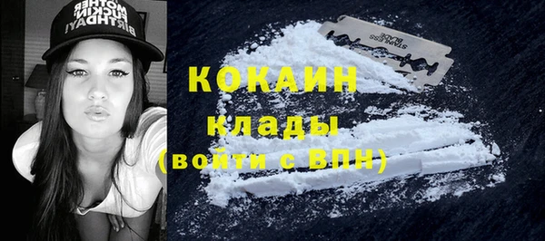 хмурый Алексин