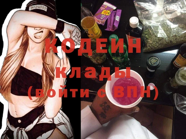 хмурый Алзамай