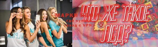 хмурый Алексин