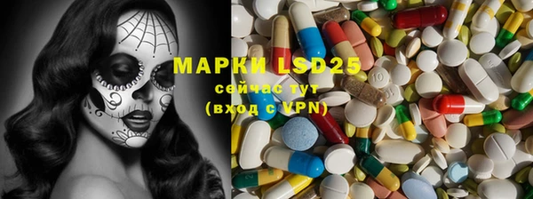 хмурый Алзамай