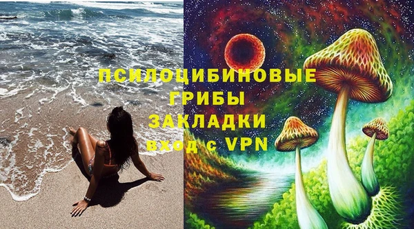 хмурый Алексин