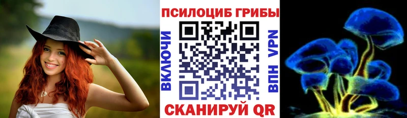 Псилоцибиновые грибы Psilocybine cubensis  Красноярск 
