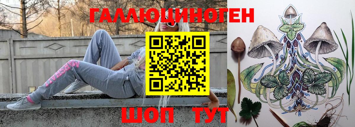 Красноярск  цена   Вход с VPN  Псилоцибиновые грибы мицелий 