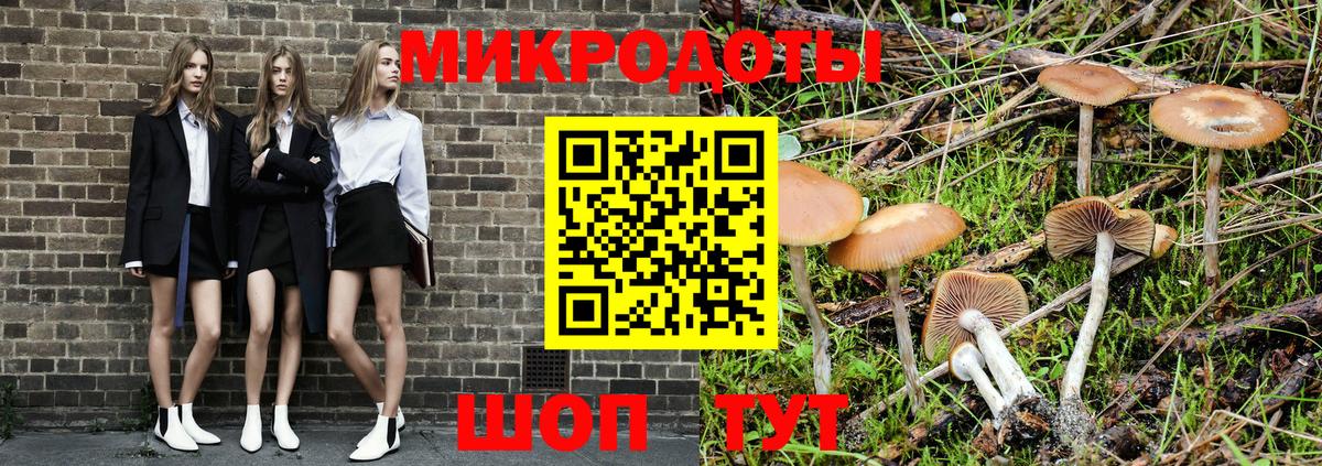 Псилоцибиновые грибы прущие грибы Красноярск